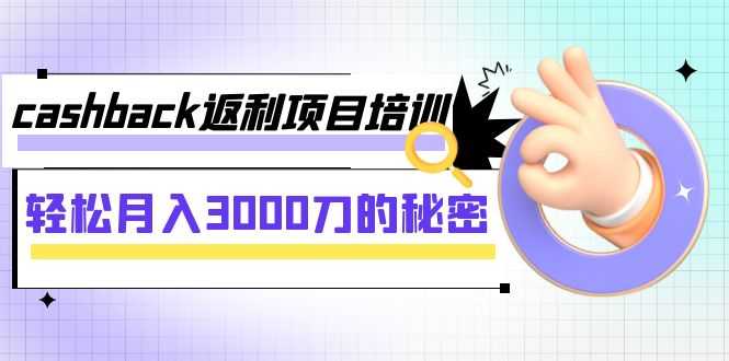 cashback返利项目培训:轻松月入3000刀的秘密(8节课)-大米网创