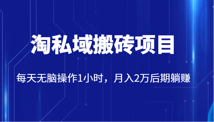 价值2980的淘私域搬砖项目，每天无脑操作1小时，月入2万后期躺赚-大米网创