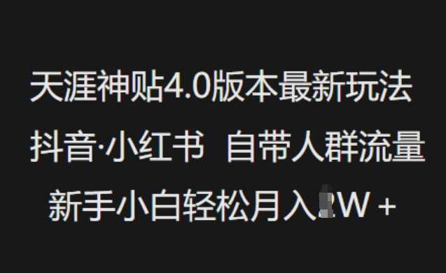 天涯神贴4.0版本最新玩法，抖音·小红书自带人群流量，新手小白轻松月入过W-大米网创