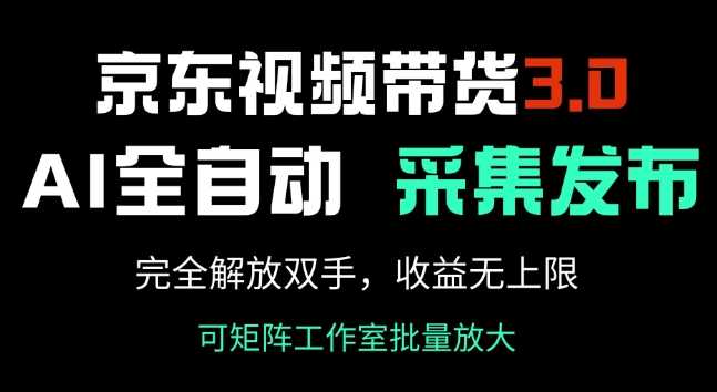 京东视频带货3.0,Ai全自动采集+自动发布,完全解放双手,收入无上限-大米网创