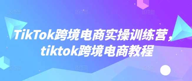 TikTok跨境电商实操训练营,tiktok跨境电商教程-大米网创