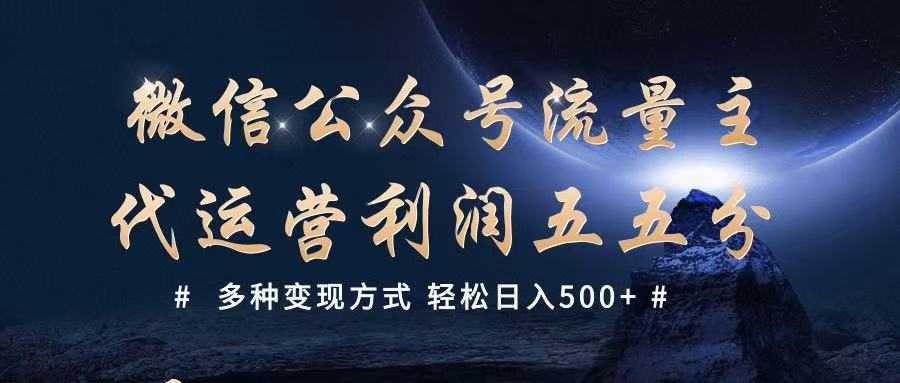 公众号流量主代运营 多种变现方式 轻松日入500+-大米网创