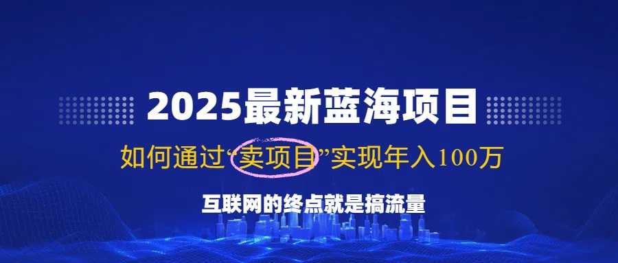 2025最新蓝海项目,零门槛轻松复制,月入10万+,新手也能操作!-大米网创