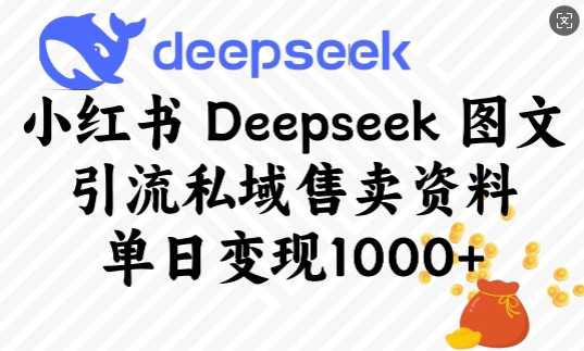 小红书Deepseek图文引流私域售卖资料,单日变现多张-大米网创