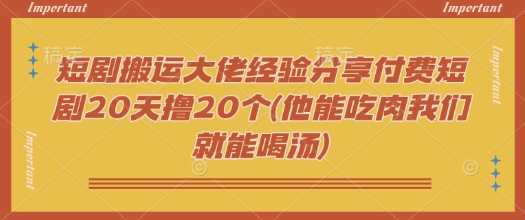 短剧搬运大佬经验分享付费短剧20天撸20个(他能吃肉我们就能喝汤)-大米网创