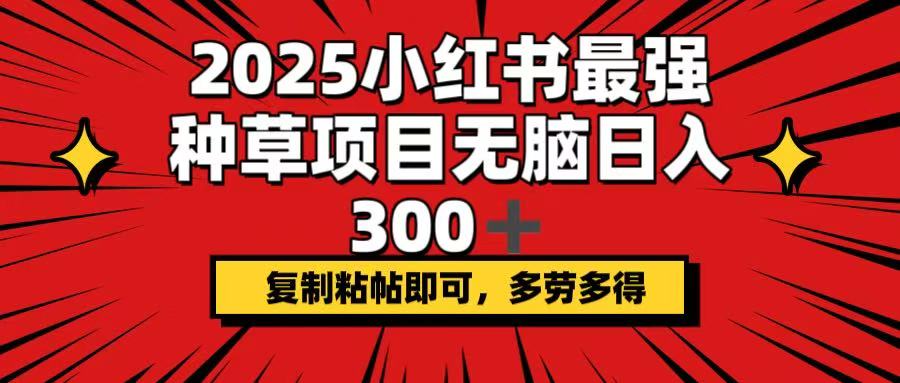 2025小红书最强种草项目，无脑日入300+，复制粘帖即可，多劳多得-大米网创