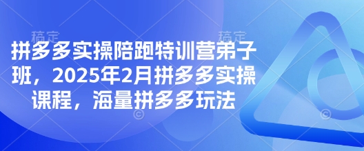 拼多多实操陪跑特训营弟子班,2025年2月拼多多实操课程,海量拼多多玩法-大米网创