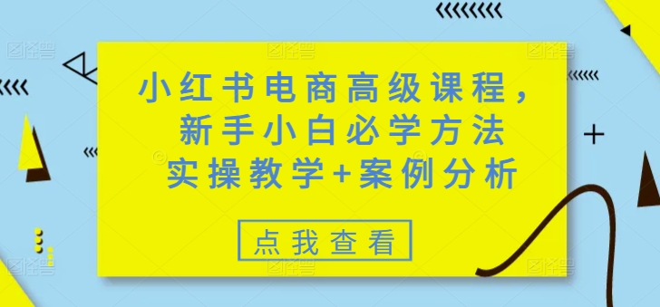 小红书电商高级课程，新手小白必学方法，实操教学+案例分析-大米网创