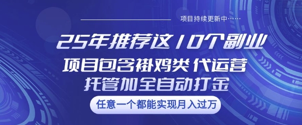 25年推荐这10个副业项目包含褂鸡类、代运营托管类、全自动打金类-大米网创