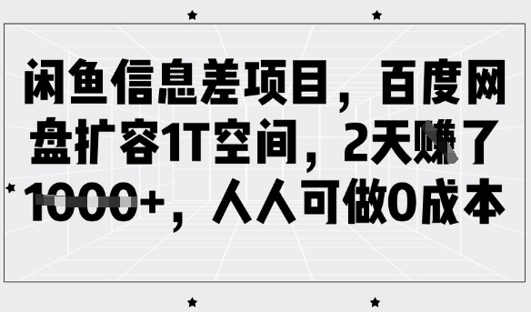 闲鱼信息差项目,百度网盘扩容1T空间,2天收益1k+,人人可做0成本-大米网创