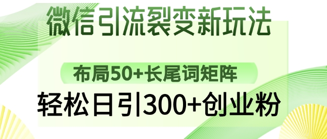 微信引流裂变新玩法：布局50+长尾词矩阵，轻松日引300+创业粉-大米网创