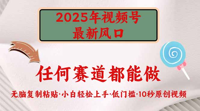 2025年视频号新风口,低门槛只需要无脑执行-大米网创