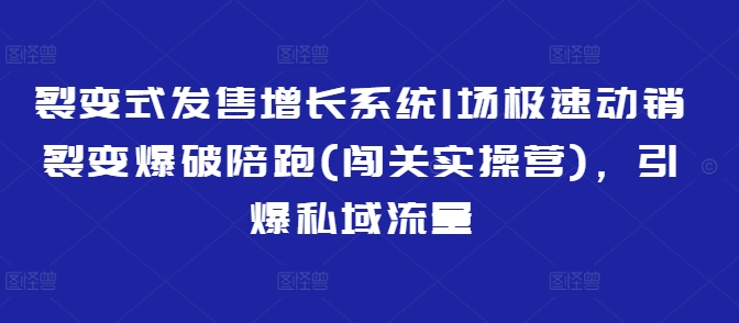 裂变式发售增长系统1场极速动销裂变爆破陪跑(闯关实操营)，引爆私域流量-大米网创