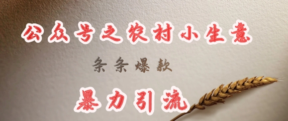 deepseek写农村小项目，条条爆款，暴力引流-大米网创