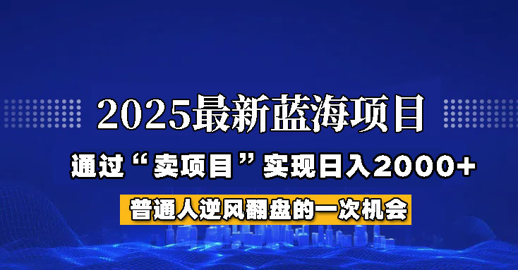 2025年蓝海项目,如何通过“网创项目”日入2000+-大米网创