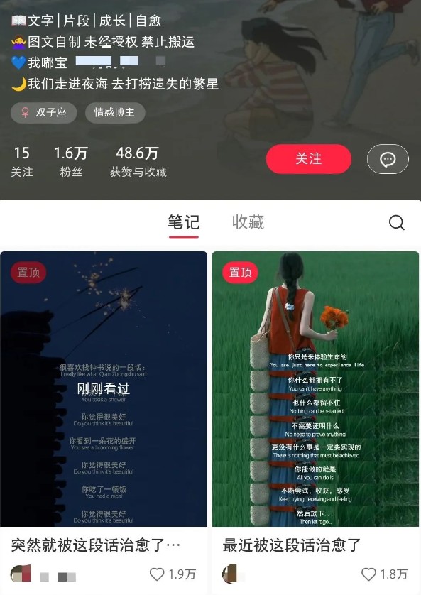 小红书治愈文案图文笔记,零门槛,一分钟制作轻松制作爆款作品月入万元-大米网创
