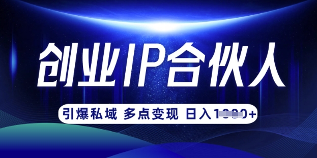 云帆·创业ip合伙人打造3.0,从0到1教你做网创,实现月入过W-大米网创