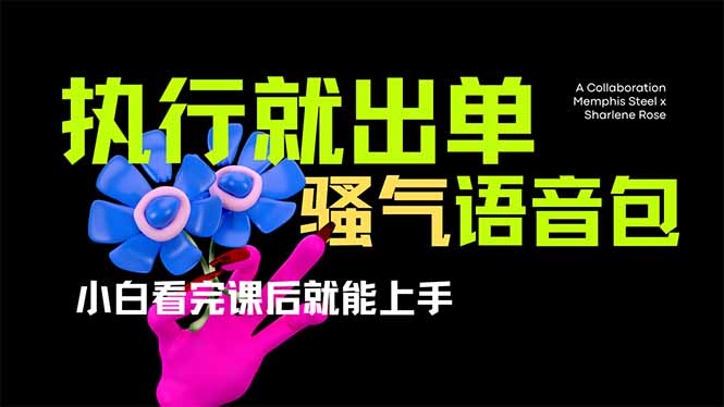 爆火全网的开车导航骚气语音包,只要执行就出单，小白看完课程就能实操…-大米网创