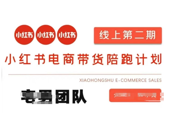 小红书电商带货课2期，月利润20个的小红书电商的有货源，无货源，虚拟产品，付费投流等整套玩法-大米网创