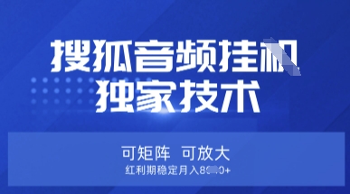 【搜狐音频挂G】独家技术,可矩阵可放大,红利期稳定月入8k-大米网创