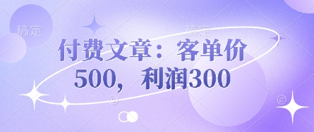 付费文章:客单价500,利润300-大米网创