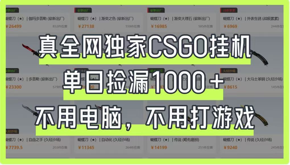 真全网独家CSGO挂机,单日捡漏1000+,不用电脑,不用养号-大米网创
