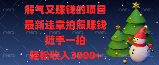 解气又挣钱的项目,最新违章拍照挣钱,随手一拍,轻松收入数张-大米网创