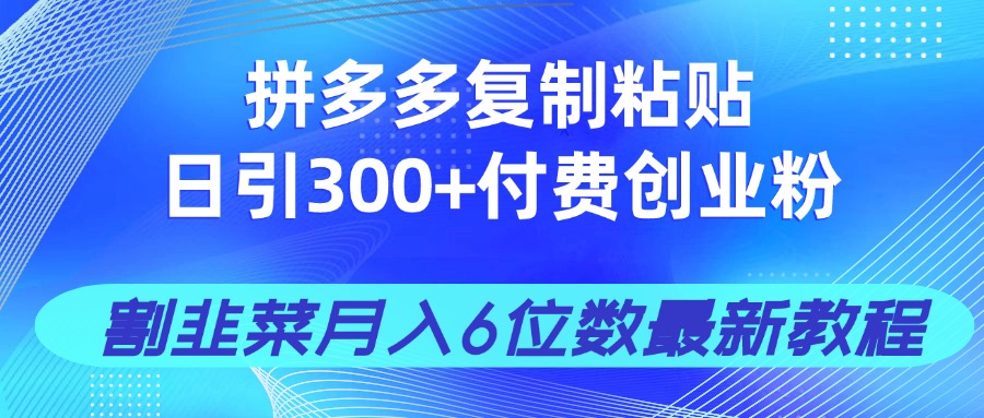 拼多多复制粘贴日引300+付费创业粉,割韭菜月入6位数最新教程!-大米网创