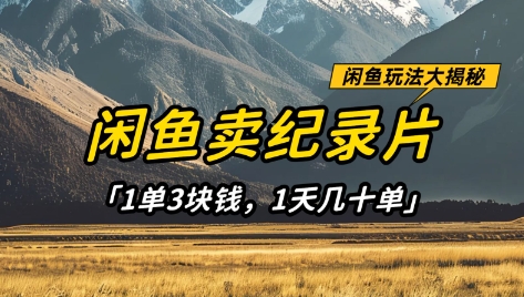 闲鱼卖纪录片1单3块钱,1天几十单,项目稳定有潜力-大米网创