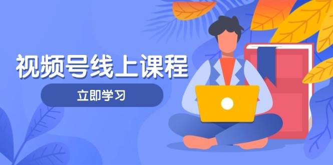 视频号实战课程,轻IP打造与运营技巧,掌握核心方法与策略-大米网创
