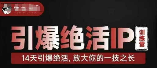 引爆绝活IP训练营,14天引爆绝活,放大你的一技之长-大米网创