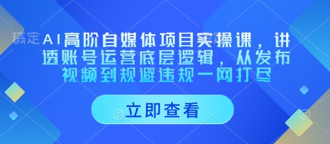 AI高阶自媒体项目实操课,讲透账号运营底层逻辑,从发布视频到规避违规一网打尽-大米网创