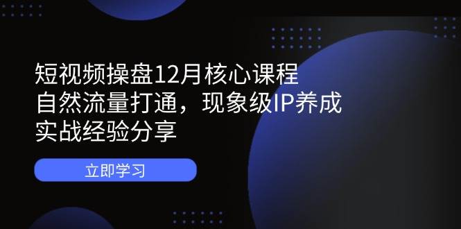 短视频操盘12月核心课程:自然流量打通,现象级IP养成,实战经验分享-大米网创