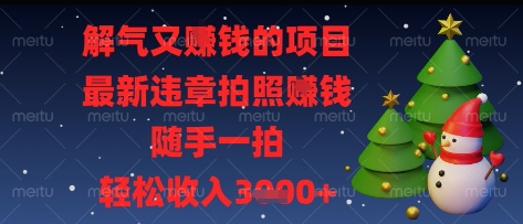 解气又挣钱的项目,最新违章拍照挣钱,随手一拍,轻松收入多张-大米网创