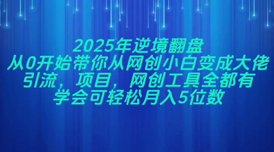2025年逆境翻盘,从0开始带你从网创小白变成大佬,引流,项目,网创工…-大米网创