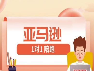 亚马逊1对1陪跑课(FBA/FBM精铺)跨境亚马逊教程-大米网创