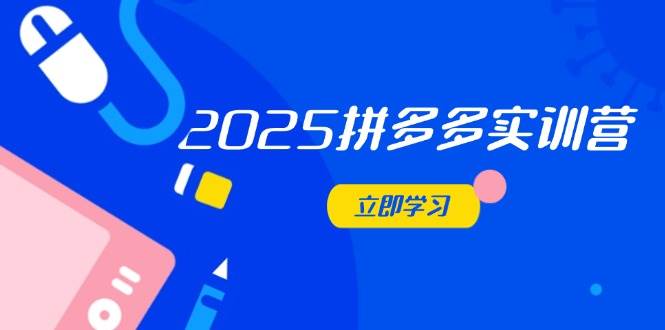 2025拼多多实训营:深度剖析运营关键,助力电商人快速提升-大米网创