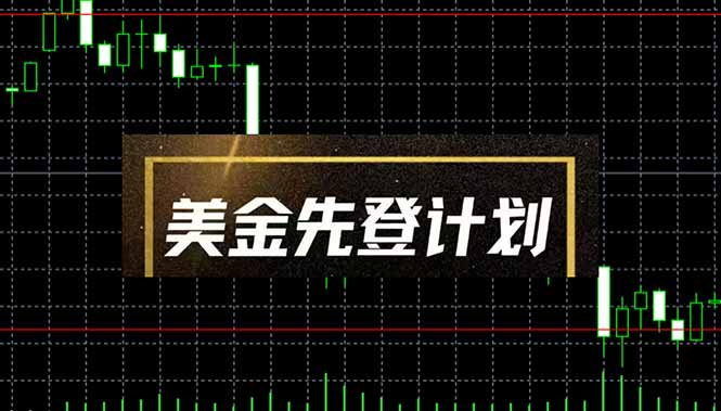 美金先登计划(2025黑马项目) (单人日收益2至3K,当日可提现,可放大…-大米网创