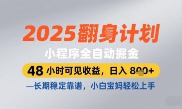 2025小程序全自动掘金,48 小时可见收益,日入8张,长期稳定靠谱,小白宝妈轻松上手-大米网创