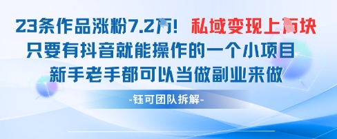 抖音私域项目23条作品涨粉7.2W,私域变现1W-大米网创