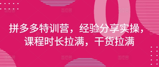 拼多多特训营，经验分享实操，课程时长拉满，干货拉满(更新25年4月)-大米网创