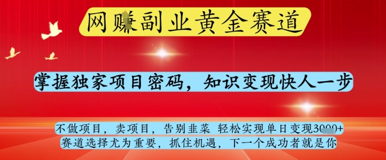 网创副业黄全赛道，掌握独家项目密码，知识变现快人一步，告别韭菜轻松实现单日变现1k+-大米网创