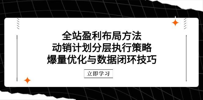 全站盈利布局方法:动销计划分层执行策略,爆量优化与数据闭环技巧-大米网创
