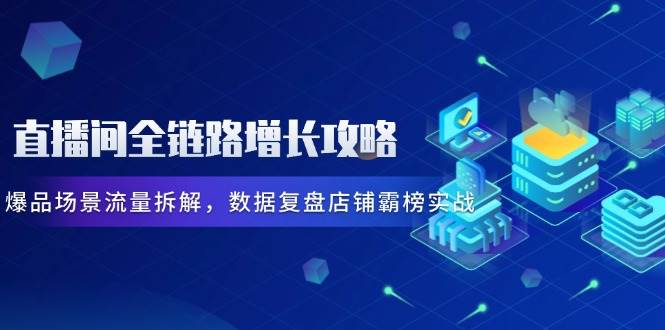直播间全链路增长攻略，爆品场景流量拆解，数据复盘店铺霸榜实战-大米网创