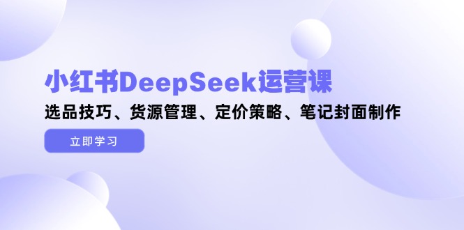 小红书DeepSeek运营课，选品技巧、货源管理、定价策略、笔记封面制作-大米网创