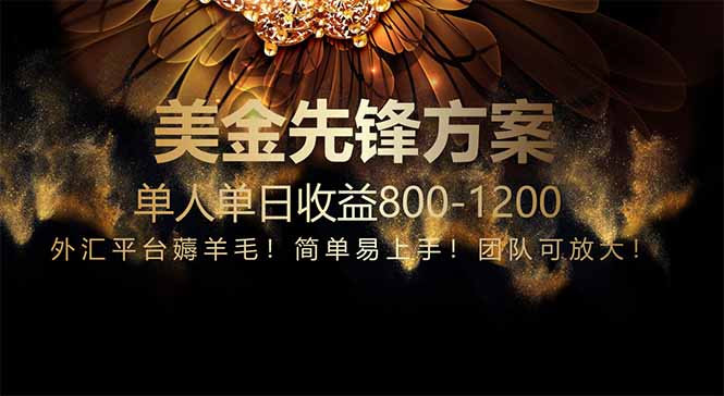 免费技术!小众赛道!一年布局抵三年努力,每日800+-大米网创