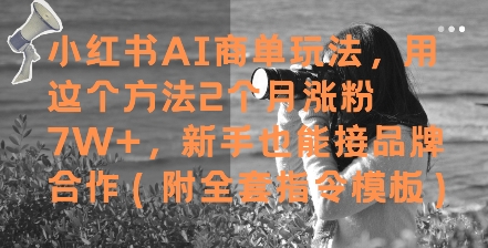 小红书AI商单玩法,用这个方法2个月涨粉7W+,新手也能接品牌合作(附全套指令模板)-大米网创