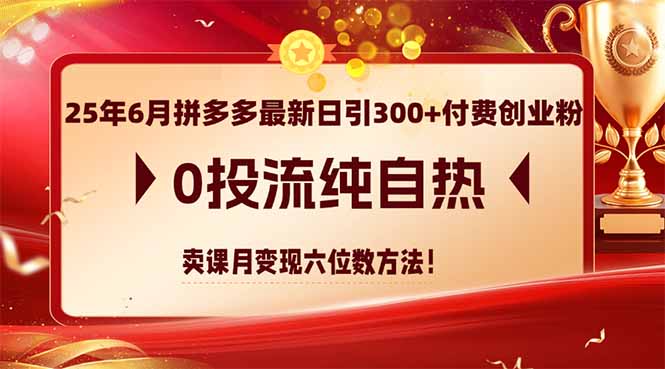 25年6月拼多多最新日引300+付费创业粉，0投流纯自热 卖课月变现六位数方法-大米网创