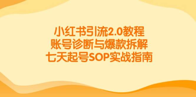 小红书引流2.0教程,账号诊断与爆款拆解,七天起号SOP实战指南-大米网创