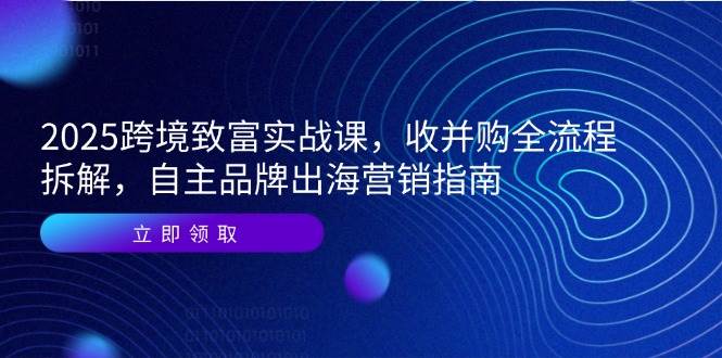 2025跨境致富实战课,收并购全流程拆解,自主品牌出海营销指南-大米网创